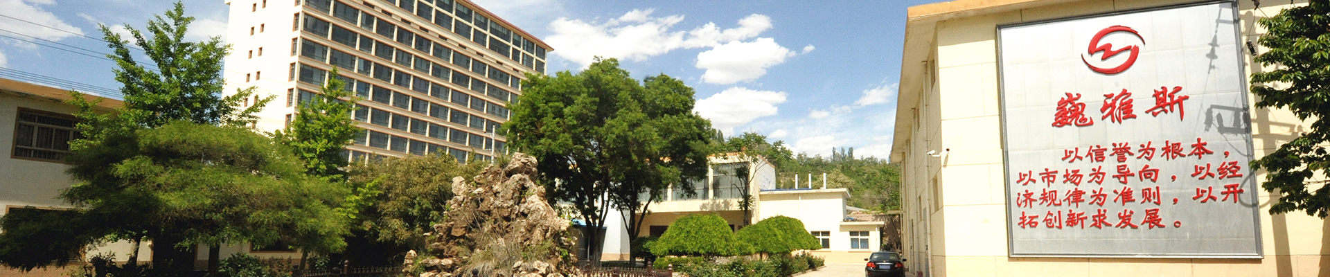 巍雅斯開創(chuàng)于1976年，50年來，在黨的改革開放政策指引下，始終堅持“以信譽為根本、以市場為導(dǎo)向、以經(jīng)濟(jì)規(guī)律為準(zhǔn)則、以開拓創(chuàng)新求發(fā)展”，與甘肅、寧夏、青海、陜西、西藏、內(nèi)蒙等六省區(qū)80多家大型零售商場建立了長期友好的合作關(guān)系。